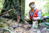 Pacific Northwest Permanent Sample Plot Program, Field work 2018