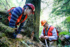 Pacific Northwest Permanent Sample Plot Program, Field work 2018
