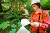 Pacific Northwest Permanent Sample Plot Program, Field work 2018