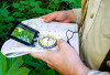Pacific Northwest Permanent Sample Plot Program, Field work 2018