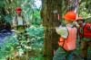 Pacific Northwest Permanent Sample Plot Program, Field work 2018