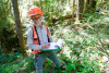 Pacific Northwest Permanent Sample Plot Program, Field work 2018