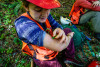 Pacific Northwest Permanent Sample Plot Program, Field work 2018