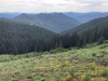 View of Lookout Main