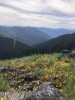 View of Lookout Main