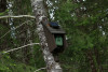 field camera