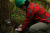 field researcher