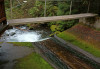 Mack Creek flume