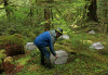insect exclosures