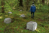 insect exclosures