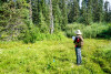 Pollination Biology Research Experiences for Undergraduates