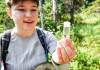 Pollination Biology Research Experiences for Undergraduates