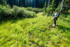 Pollination Biology Research Experiences for Undergraduates