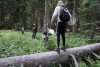 Pollination Biology Research Experiences for Undergraduates