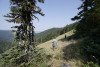 Pollination Biology Research Experiences for Undergraduates