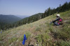 Pollination Biology Research Experiences for Undergraduates
