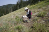 Pollination Biology Research Experiences for Undergraduates