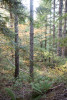 Small mammal field work, fall 2017
