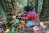 Small mammal field work, fall 2017
