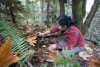 Small mammal field work, fall 2017
