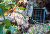 Small mammal field work, fall 2018