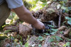 Small mammal field work, fall 2018