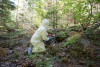 Small mammal field work, fall 2018
