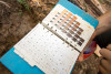 long-term soil sampling, fall 2018