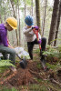 Soil and Stream field work 2017