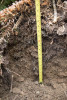 Soil and Stream field work 2017