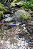 Soil and Stream field work 2017