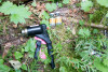 Soil and Stream field work 2017