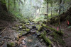 Soil and Stream field work 2017