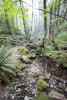 Soil and Stream field work 2017