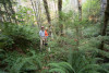 Soil and Stream field work 2017