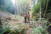 Soil and Stream field work 2017