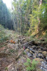 Soil and Stream field work 2017