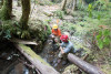 Soil and Stream field work 2017