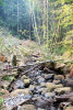 Soil and Stream field work 2017