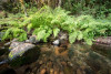 Soil and Stream field work 2017