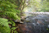 Soil and Stream field work 2017