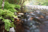 Soil and Stream field work 2017