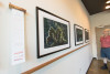 LTEReflections: science and art