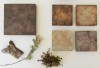 LTEReflections: science and art