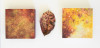 LTEReflections: science and art