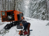 Snow and tree mortality event March 2019