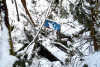 Snow and tree mortality event March 2019