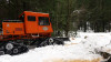Snow and tree mortality event March 2019