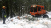 Snow and tree mortality event March 2019