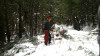 Snow and tree mortality event March 2019